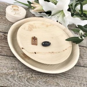 ECO-FRIENDLY PALM LEAF PLATES (SET OF 6) - FMCG trade center