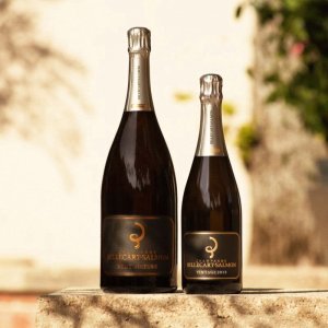 Champagne Brut Sous Bois vendors at high quality sales