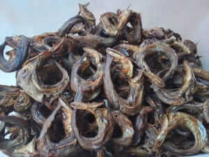 stockfish panla for sale